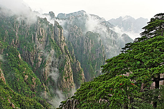 失忆药水有什么危害C1B8D97C5-18975